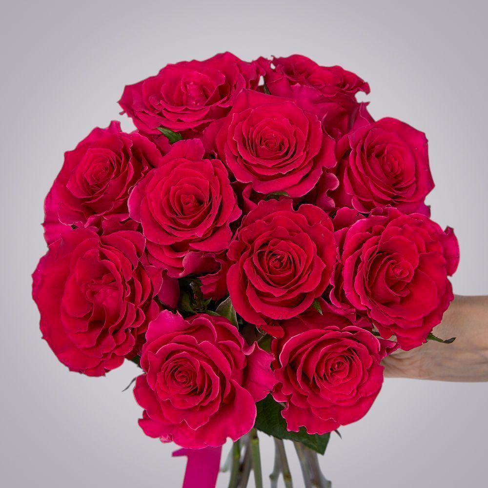 монобукет 11 роз "gotcha" под ленту 