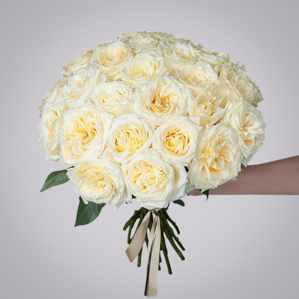 монобукет из 25 пионовидных роз "candlelight" под ленту 