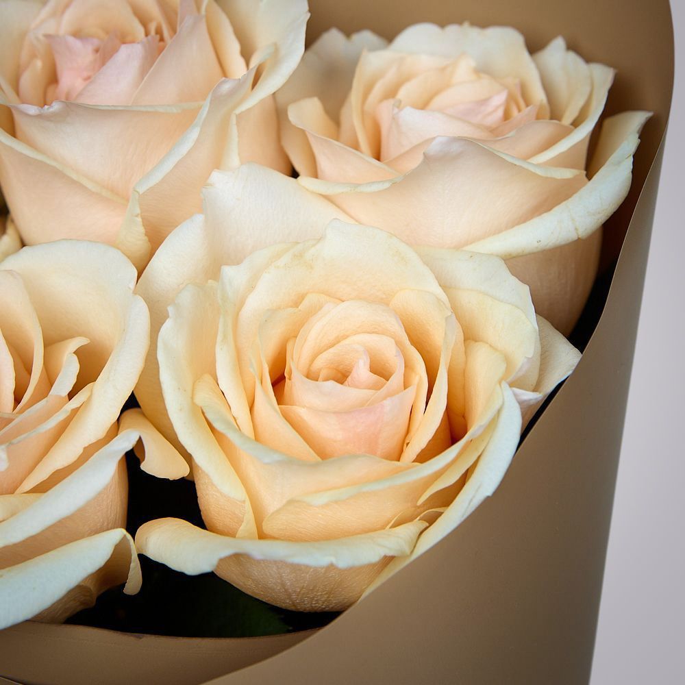 монобукет из 5 роз “favourite” в упаковке 