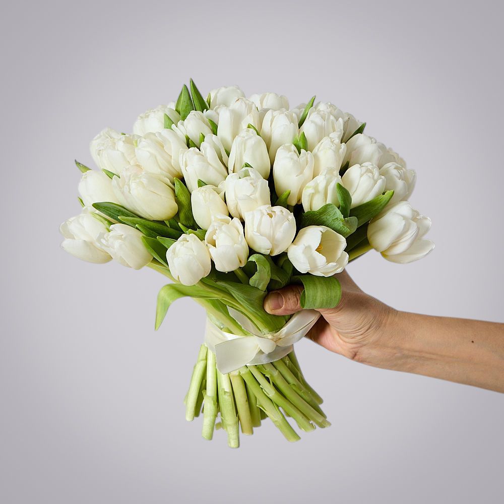 монобукет 51 белый тюльпан под ленту 