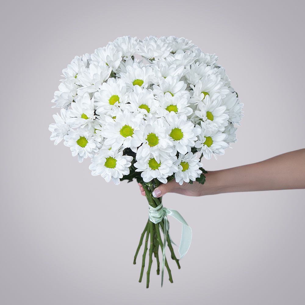 монобукет из 9 белых кустовых хризантем 