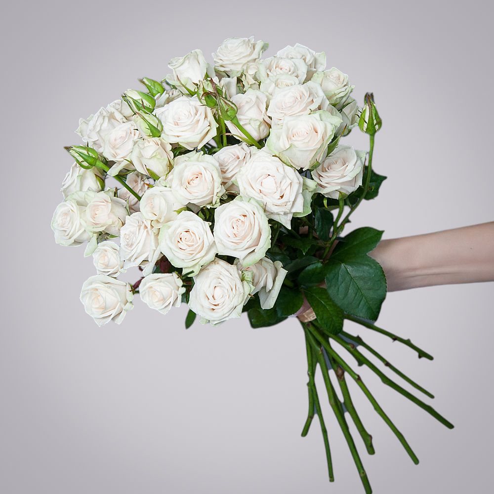 монобукет 9 роз "porcelaine" под ленту 