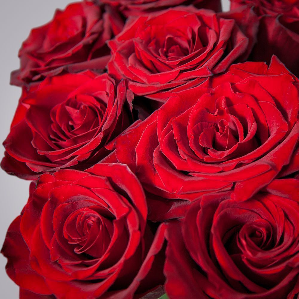 монобукет 11 роз explorer под ленту 