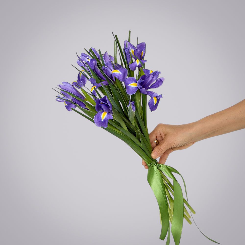 монобукет из 11 синих ирисов под ленту 