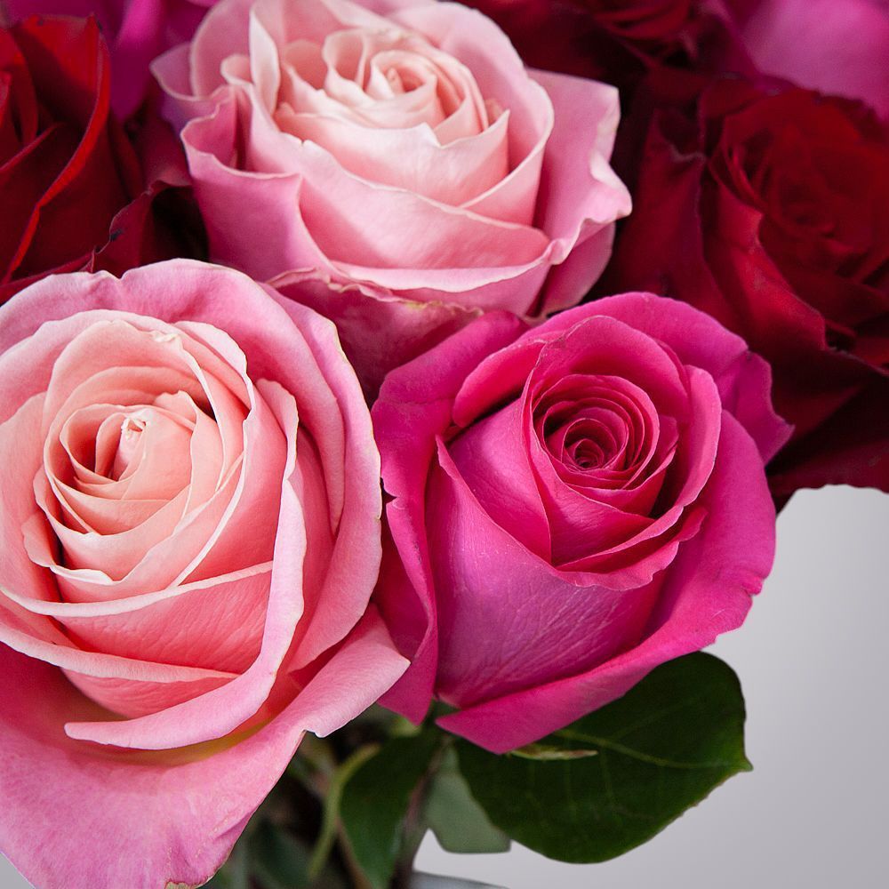 монобукет из 15 роз микс-6 под ленту 