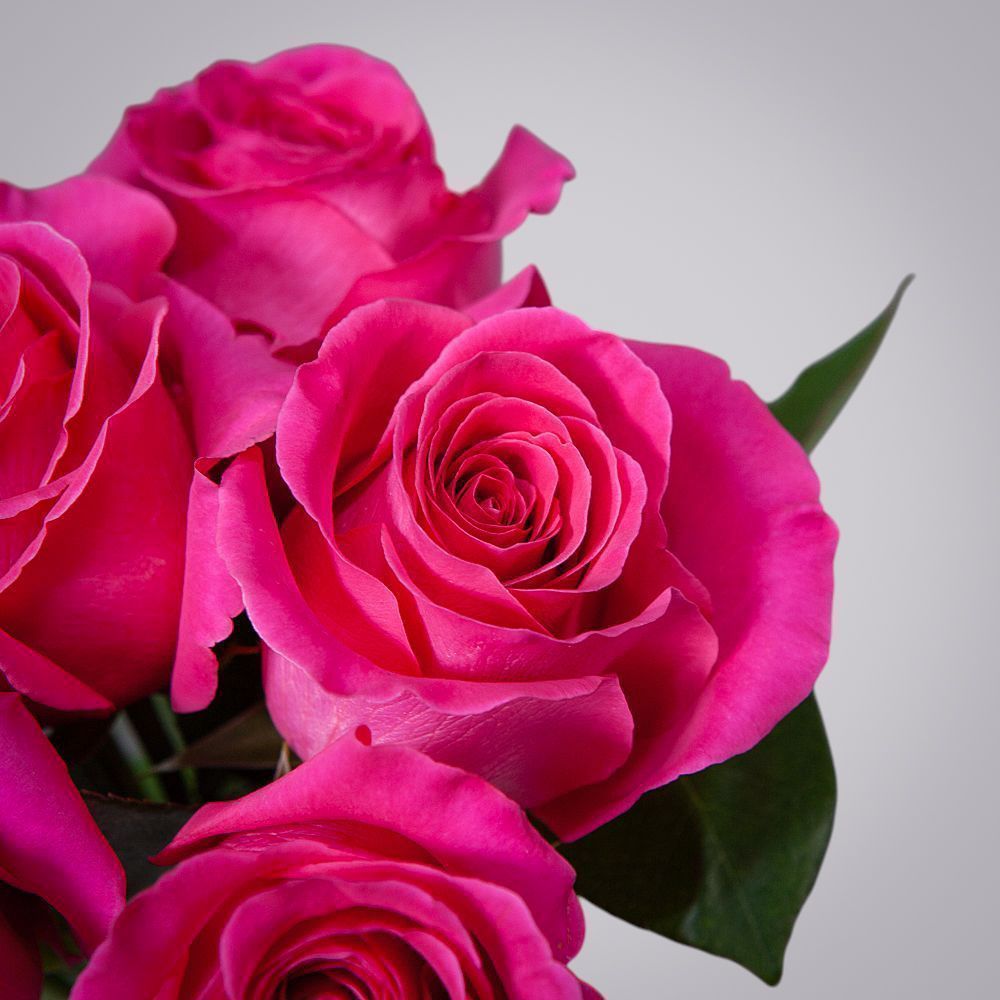 монобукет 9 роз "pink floyd" под ленту 