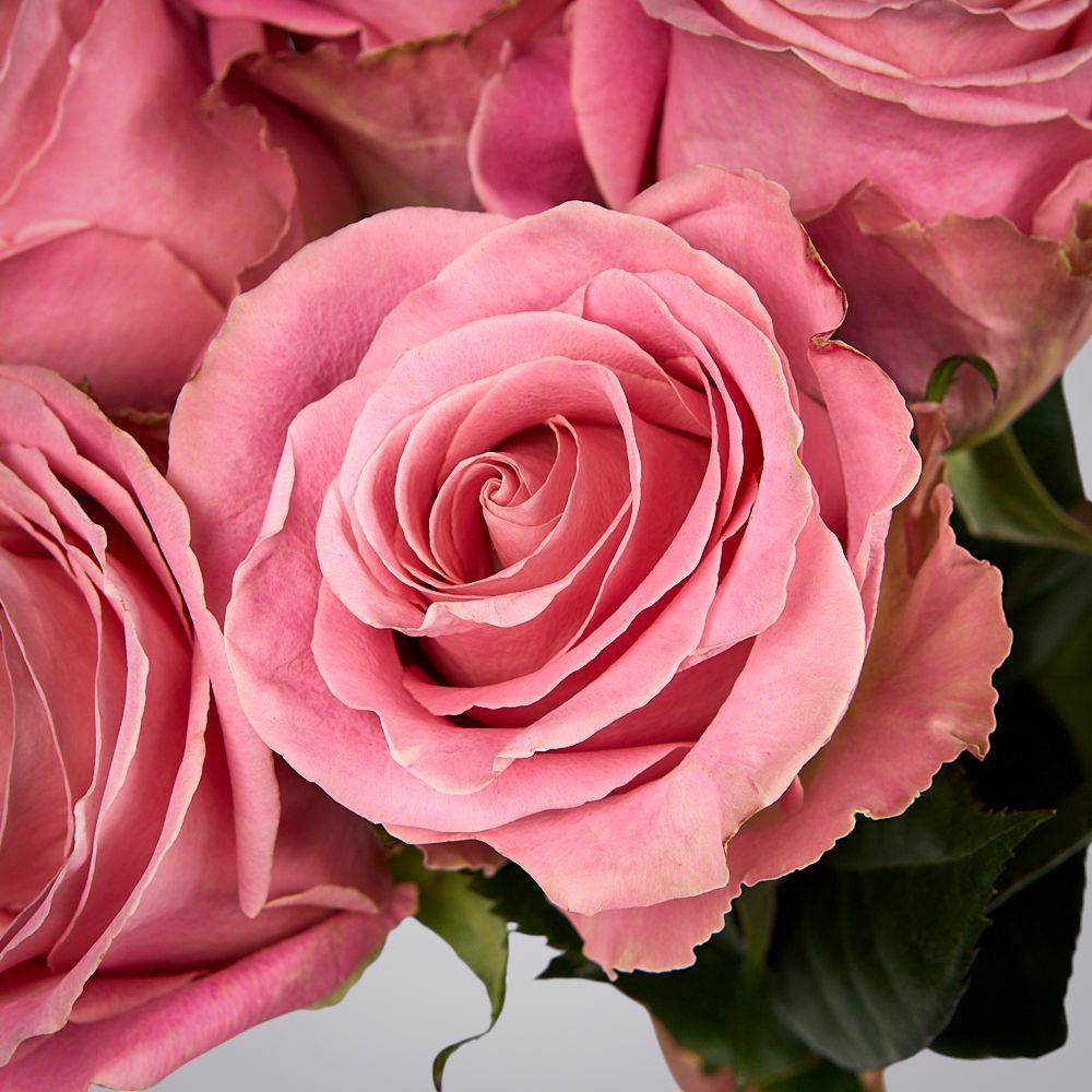 монобукет из 5 роз "hermosa" под ленту 