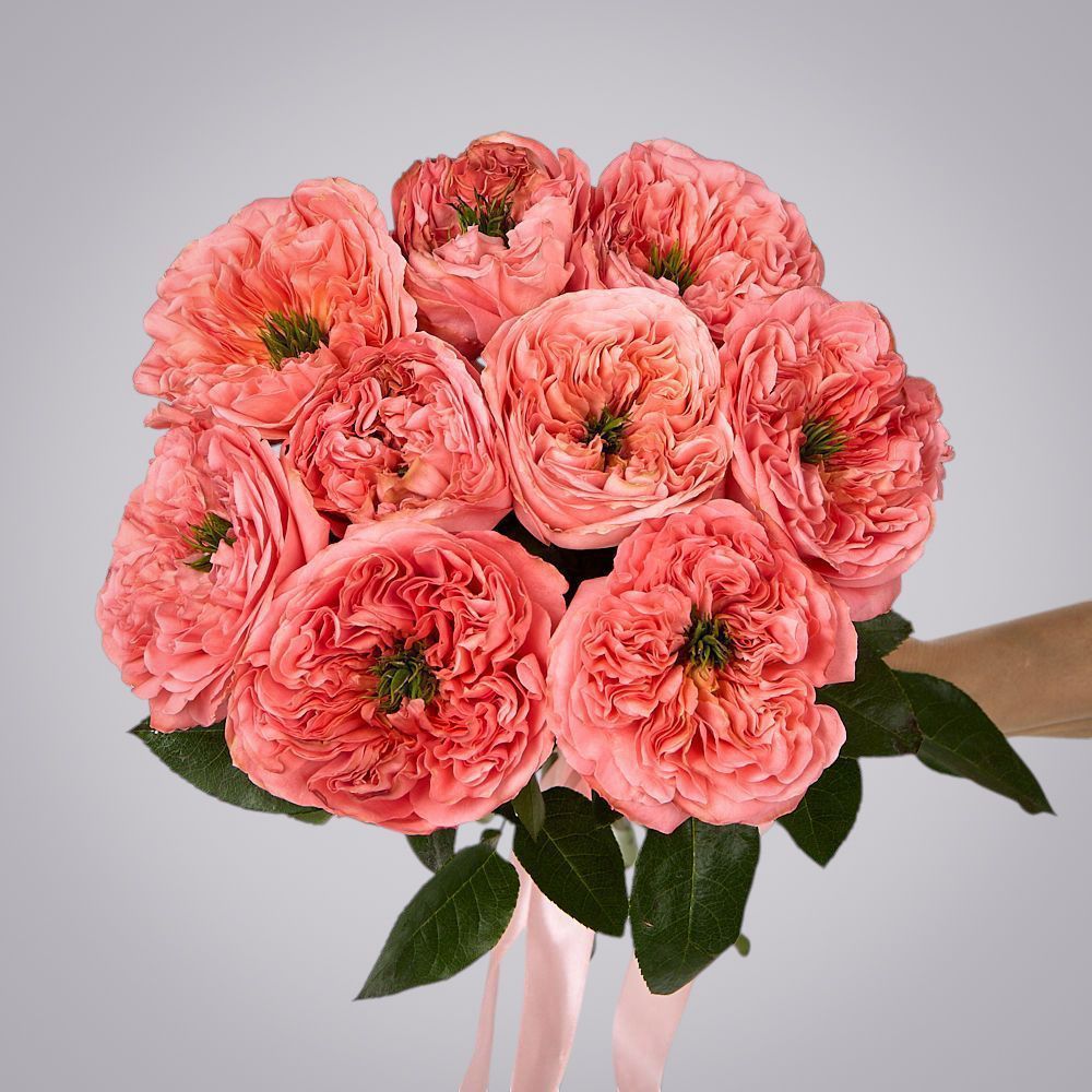 монобукет 9 пионовидных роз "mandarin x-pression" под ленту 