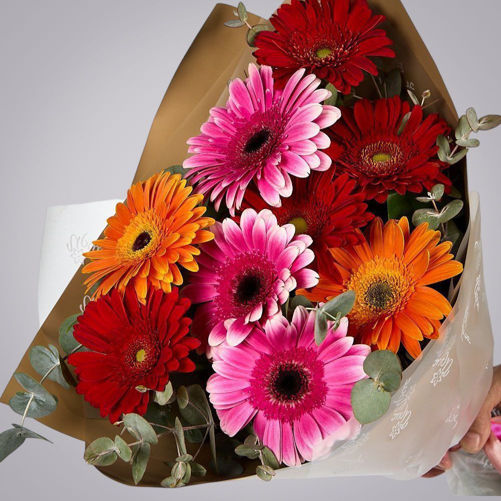 монобукет из 9 гербер с эвкалиптом  