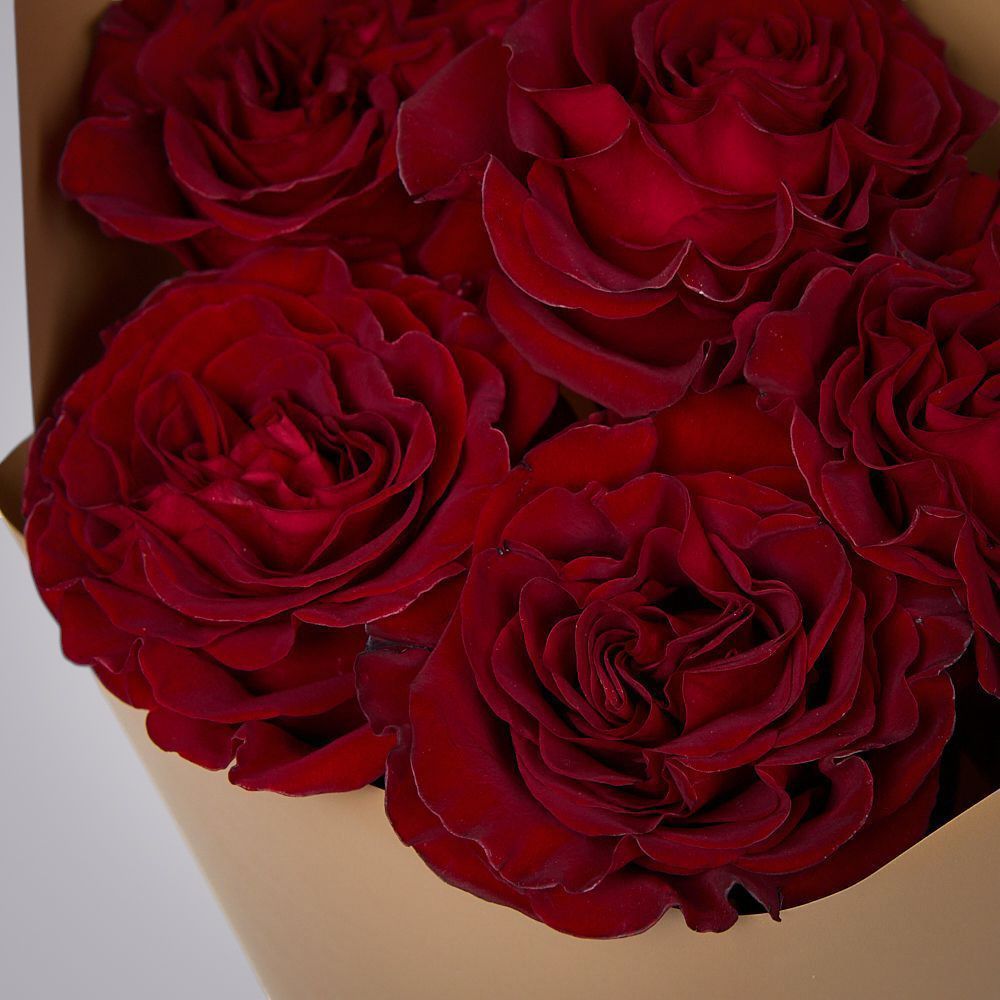 монобукет из 5 пионовидных роз "hearts" в упаковке 