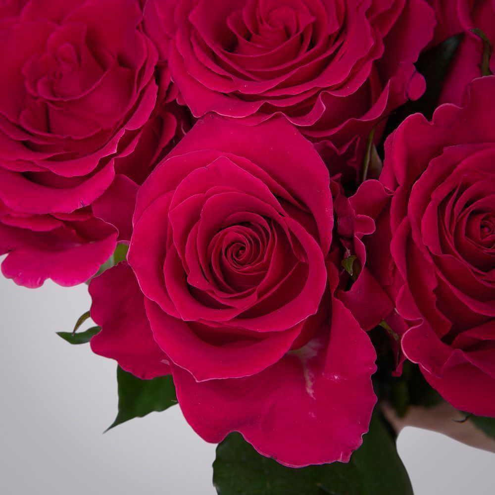 монобукет 9 роз "gotcha" под ленту 