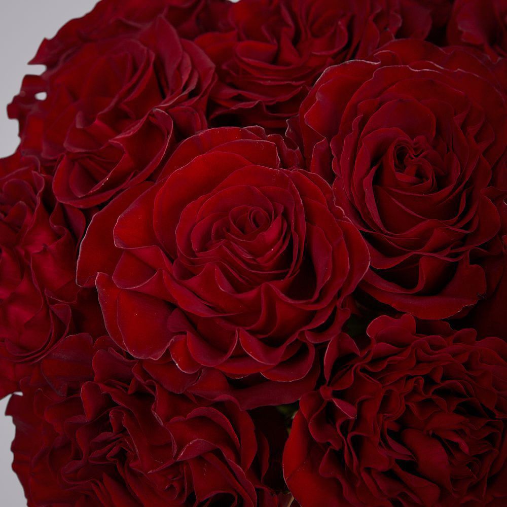 монобукет 11 пионовидных роз "hearts" под ленту 