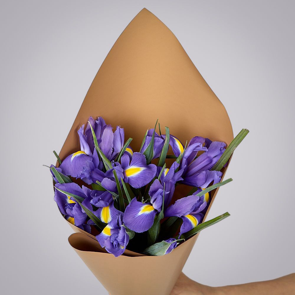 монобукет из 9 синих ирисов в упаковке 