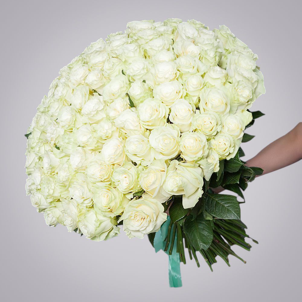 монобукет 101 роза «mondial» под ленту 