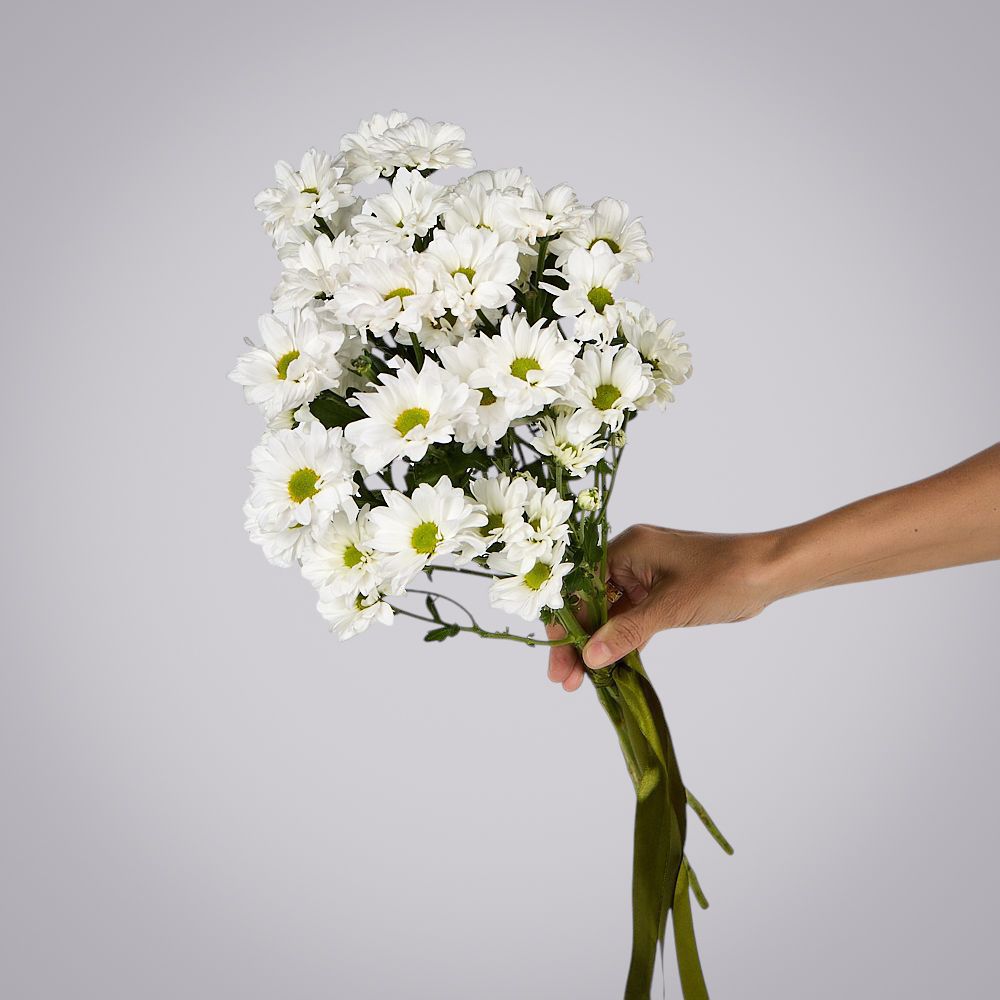 монобукет из 5 белых кустовых хризантем под ленту  