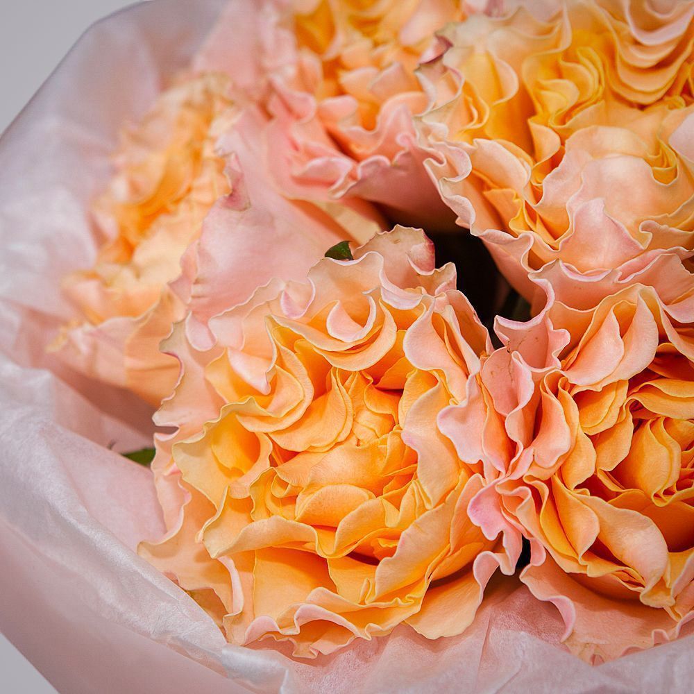 монобукет 9 пионовидных роз "campanella" в упаковке с тишью 