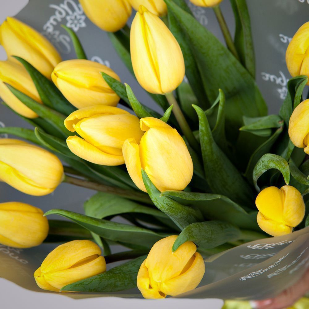 монобукет из 17 желтых тюльпанов в упаковке 