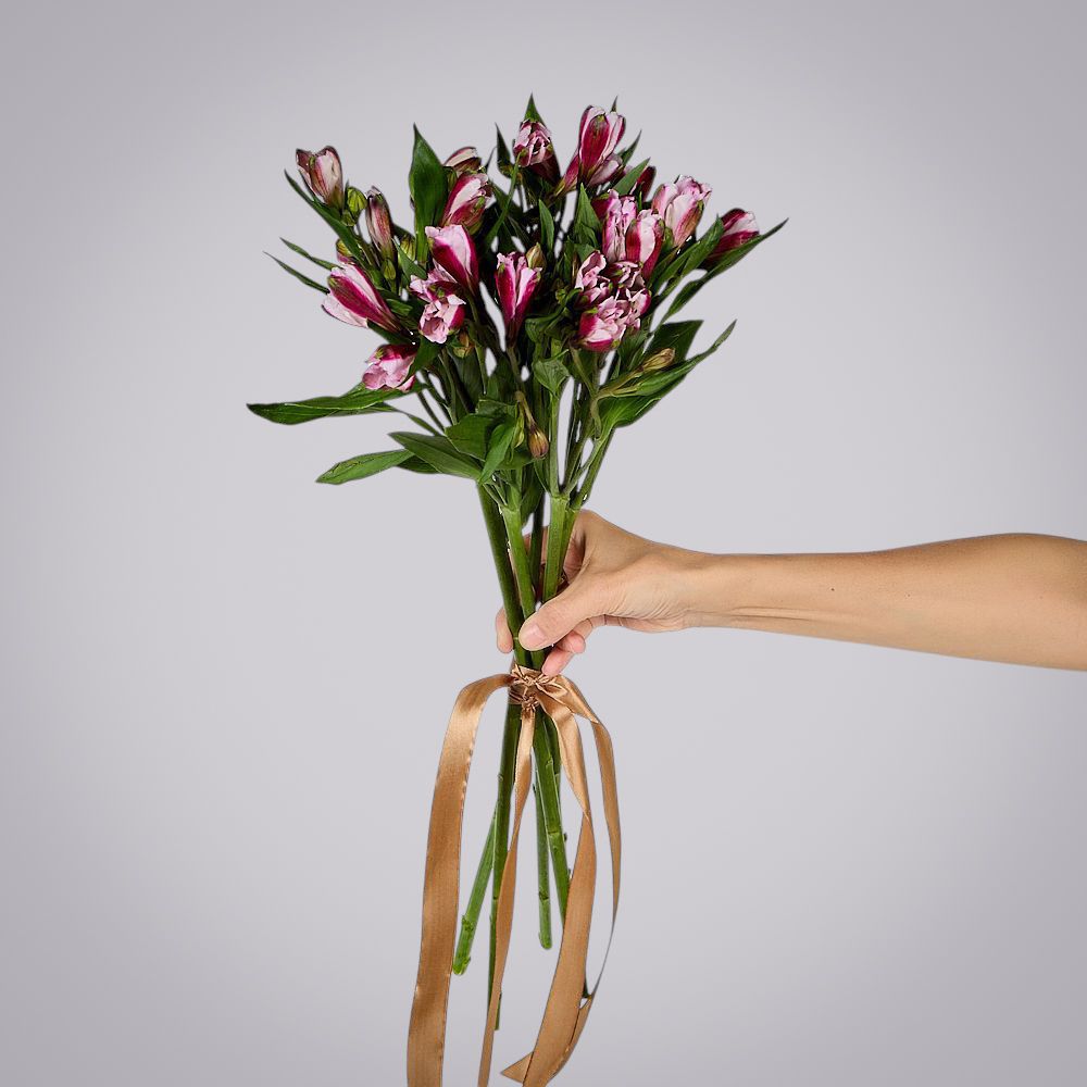 монобукет из 5 малиновых альстромерий под ленту 