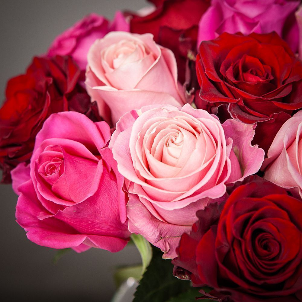 монобукет из 21 роз микс под ленту 