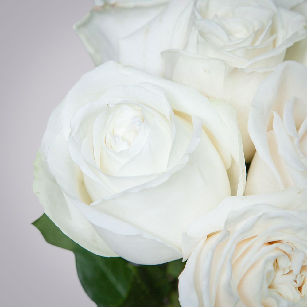 монобукет 9 пионовидных роз "playa blanca" под ленту 