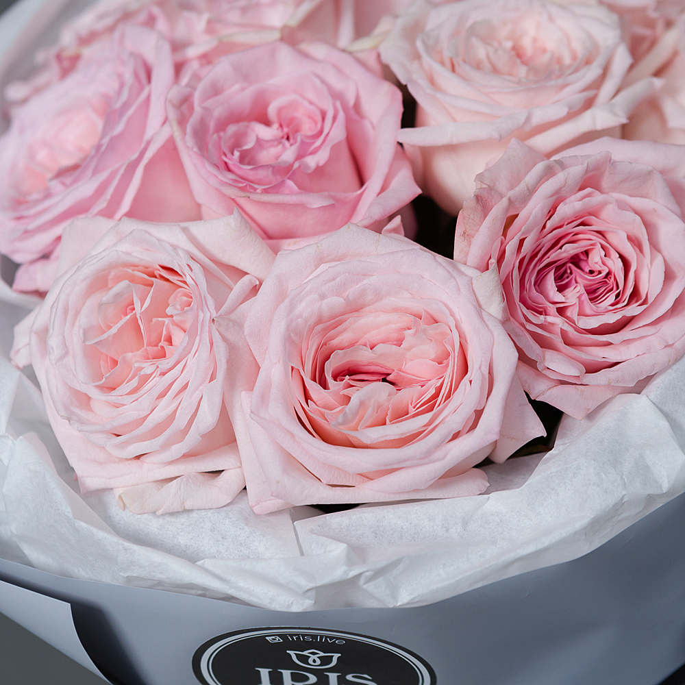 монобукет 11 роз "pink o`hara" в упаковке с тишью 