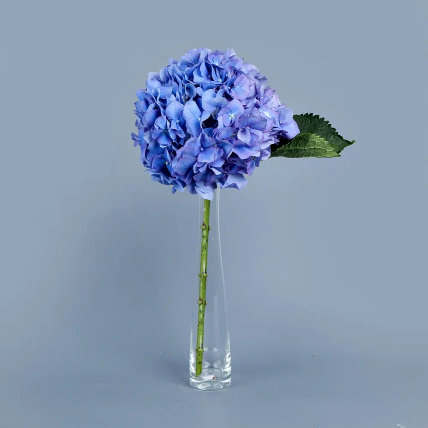 ваза m стекло с голубой гортензией 