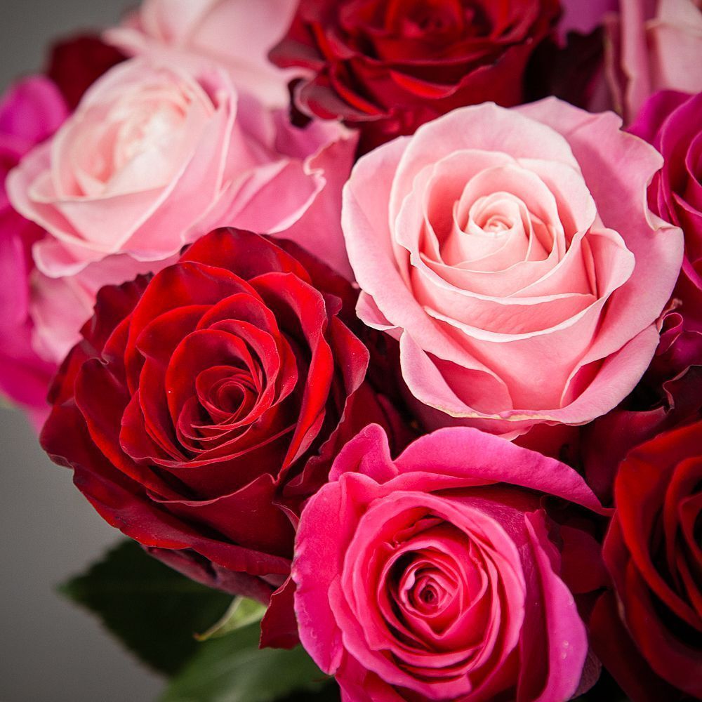 монобукет из 21 роз микс под ленту 