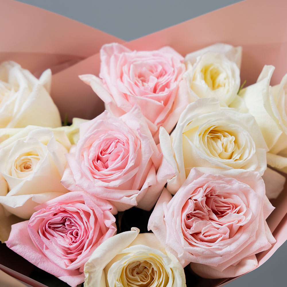 букет из 11 пионовидных бело-розовых роз 
