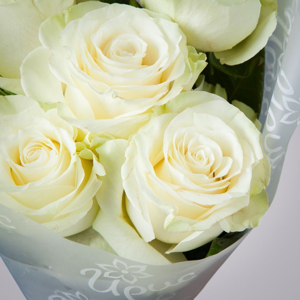 монобукет 5 роз "mondial" в упаковке 