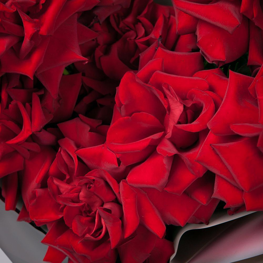 монобукет из 11 роз "explorer" французский поцелуй 