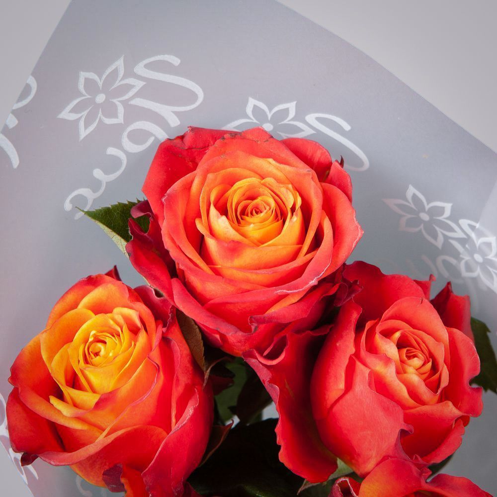 монобукет 5 роз "atomic" в упаковке 