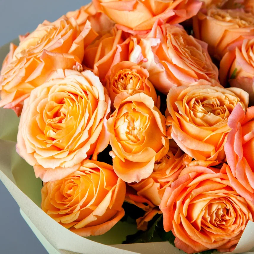 монобукет 11 кустовых роз "apricot lace" в упаковке 