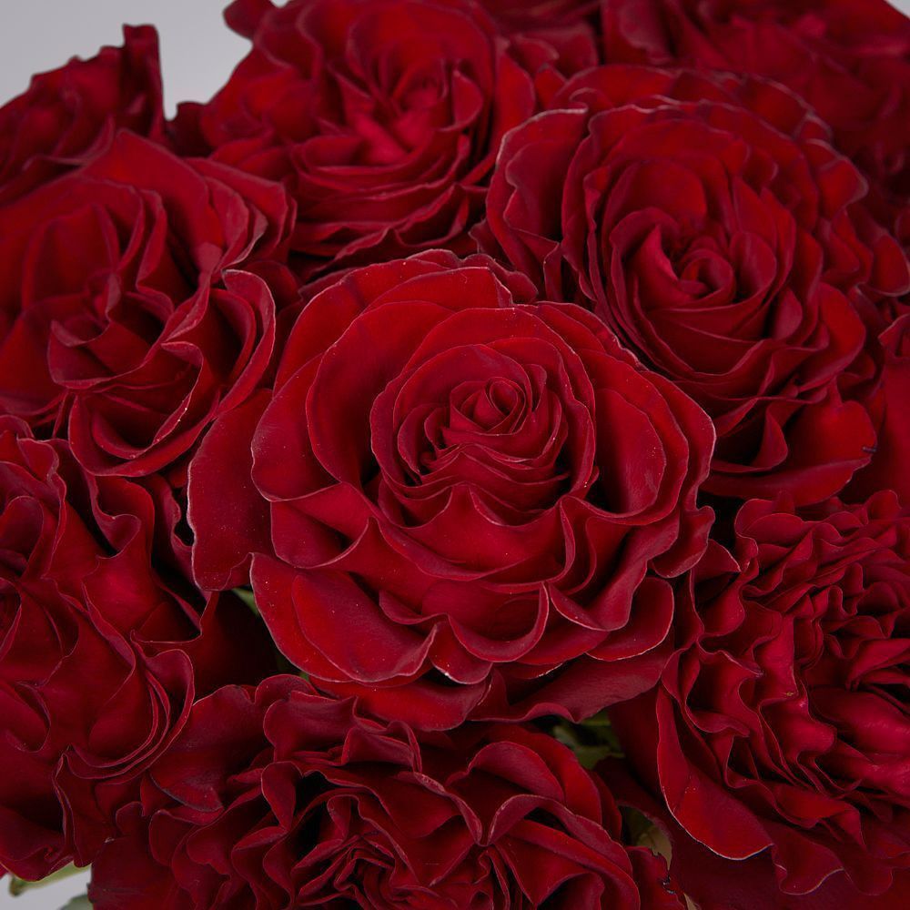 монобукет 11 пионовидных роз "hearts" под ленту 