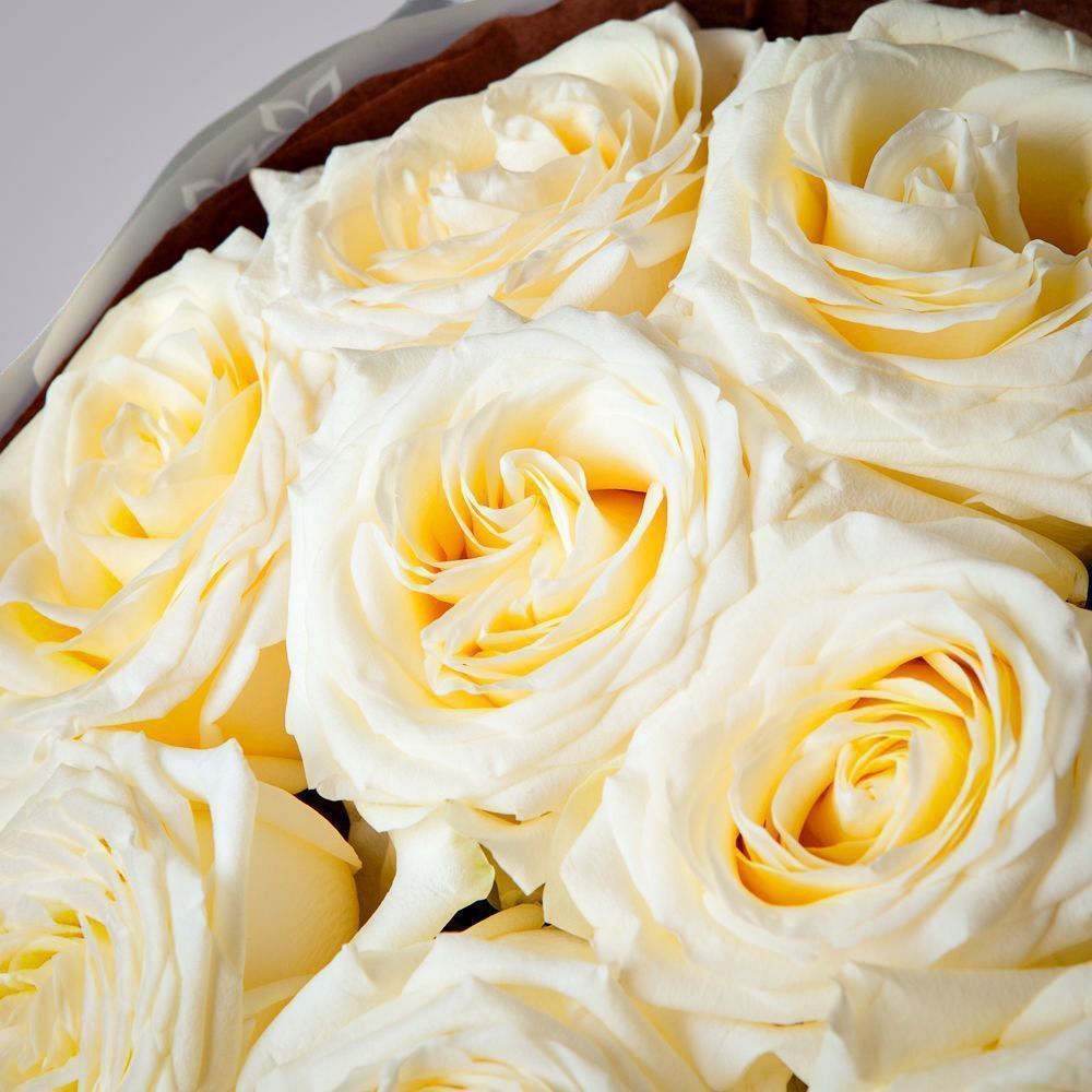 монобукет 9 пионовидных роз "candlelight" в бордовой упаковке с тишью 