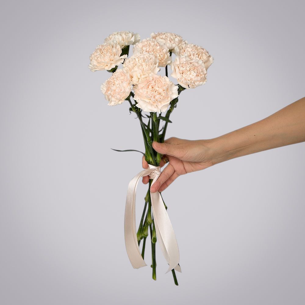 монобукет из 9 кремовых гвоздик под ленту 