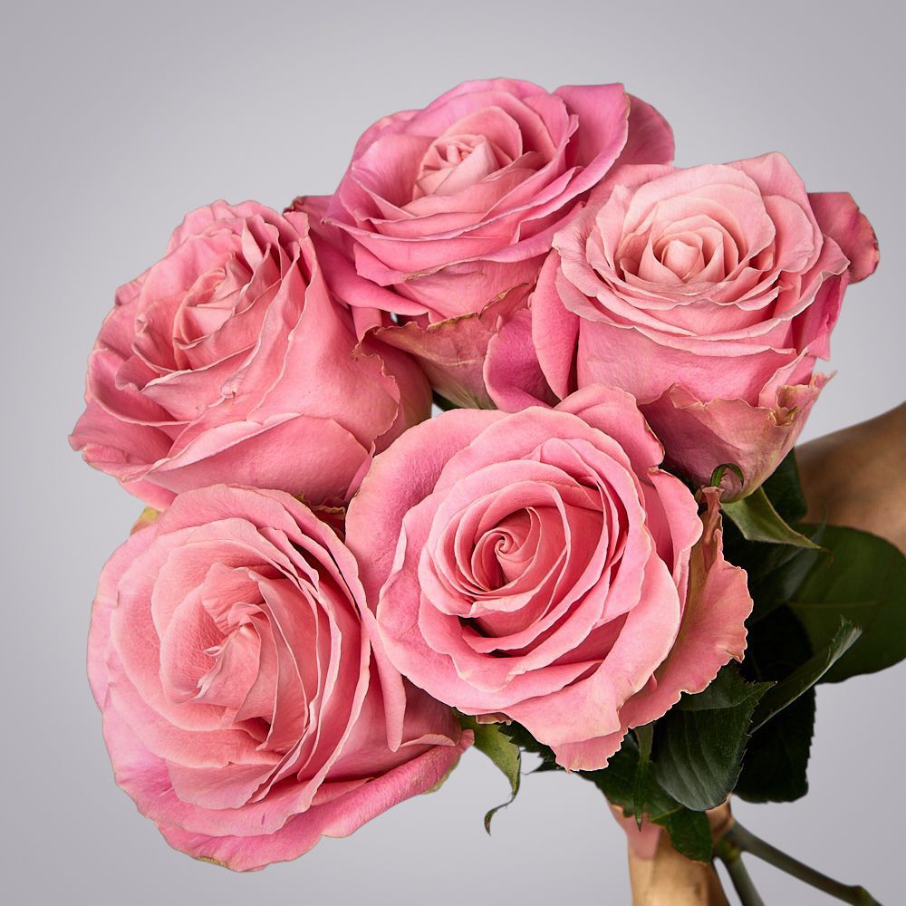 монобукет из 5 роз "hermosa" под ленту 