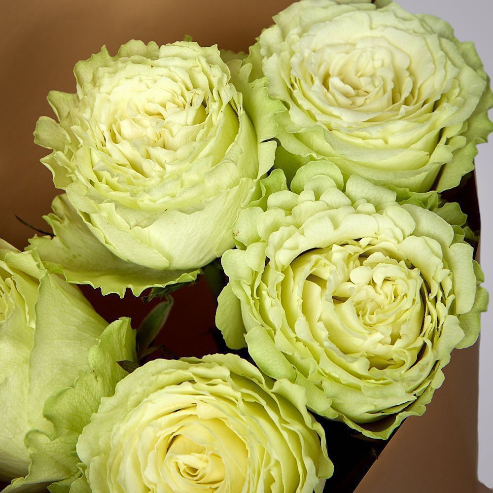 монобукет из 5 пионовидных роз "lemonade" в упаковке 