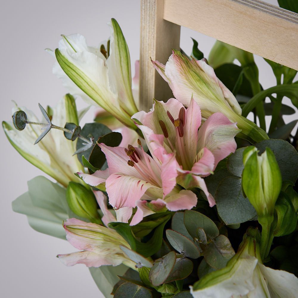 композиция “утренний сад” 