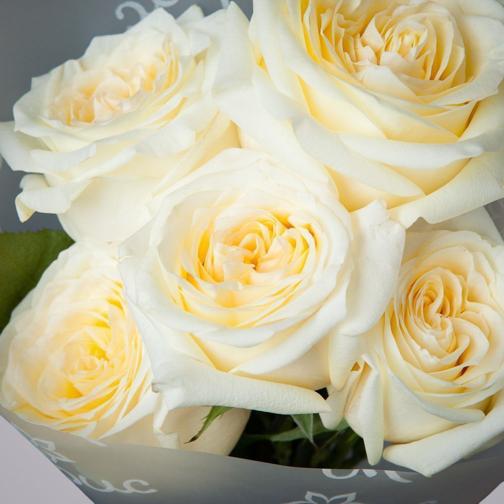 монобукет 5 пионовидных роз "candlelight" в упаковке 