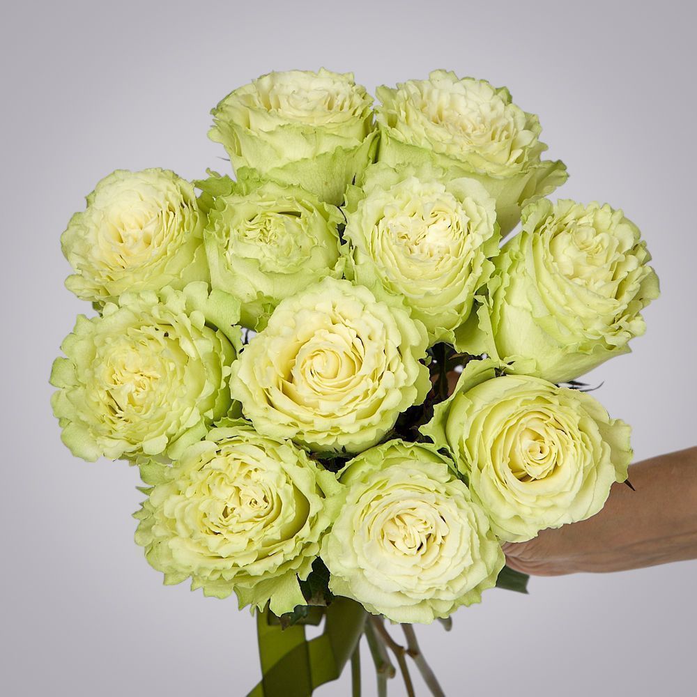 монобукет 11 пионовидных роз "lemonade" под ленту 