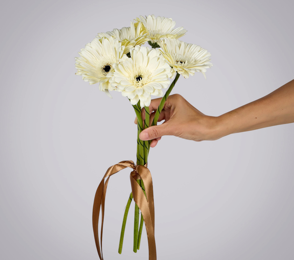 монобукет из 5 белых гербер под ленту  