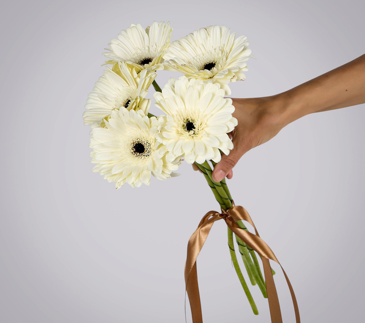 монобукет из 5 белых гербер под ленту  