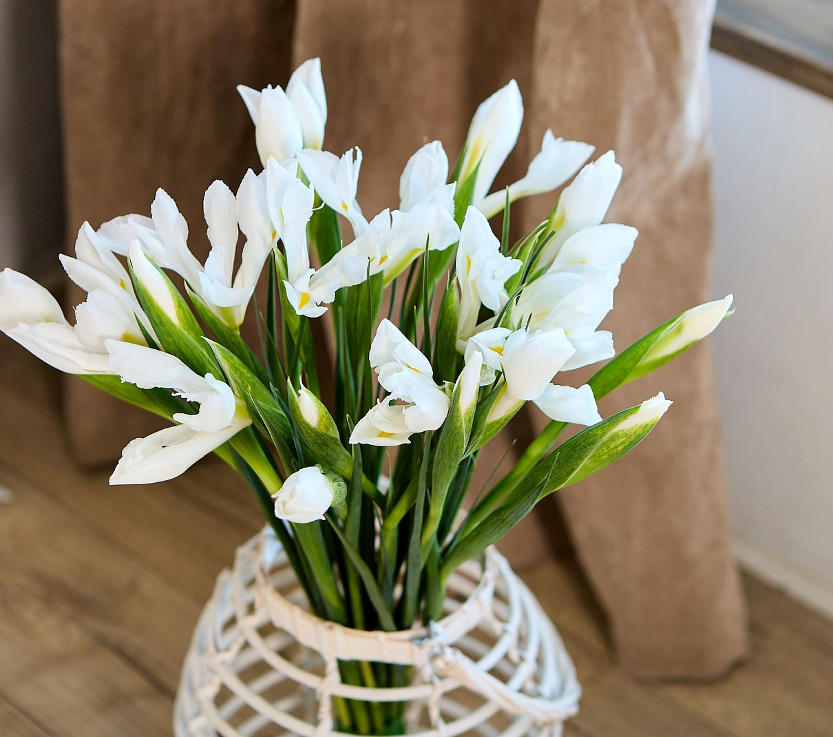 монобукет из 19 белых ирисов 