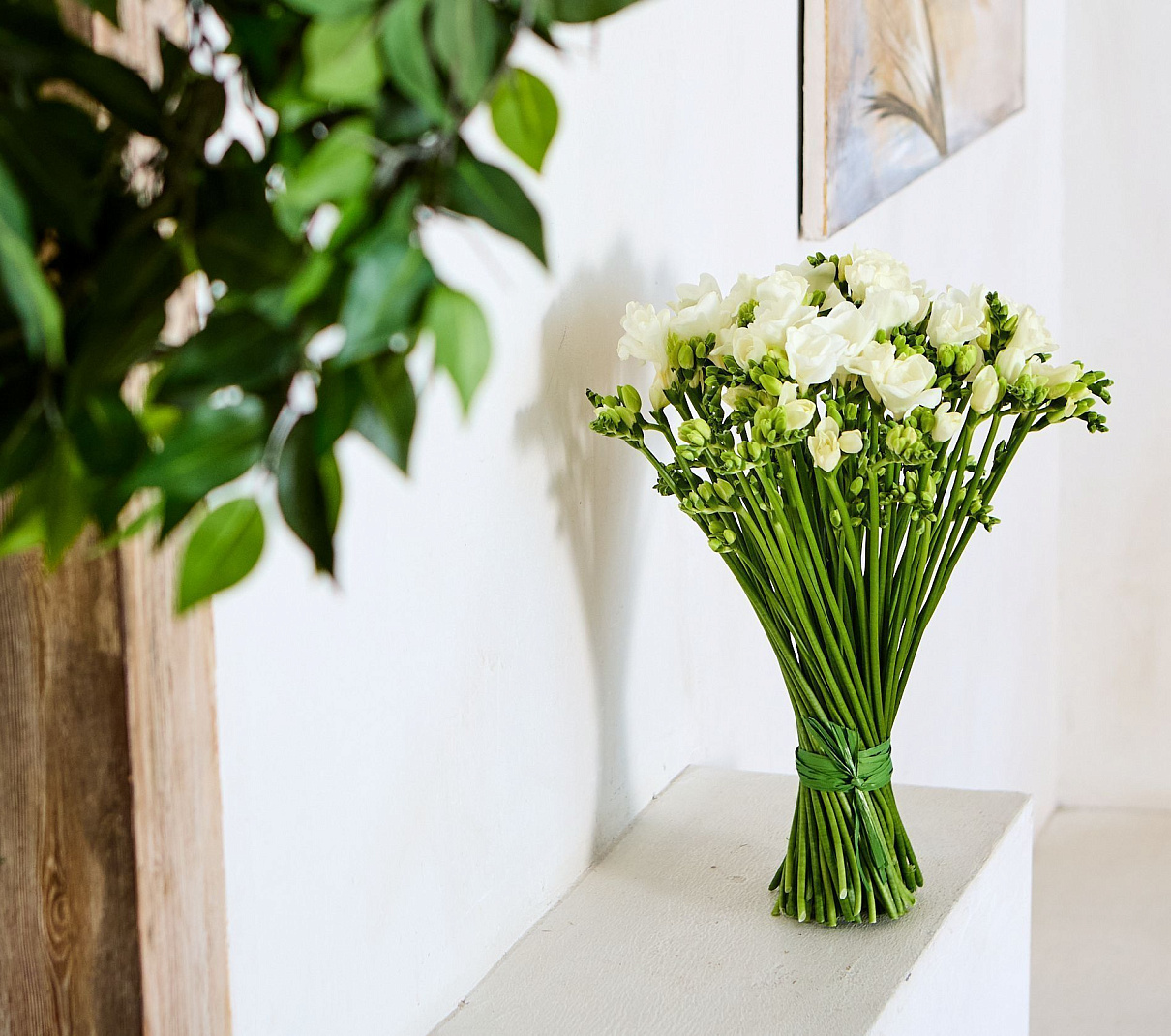 монобукет из 49 белых фрезий 