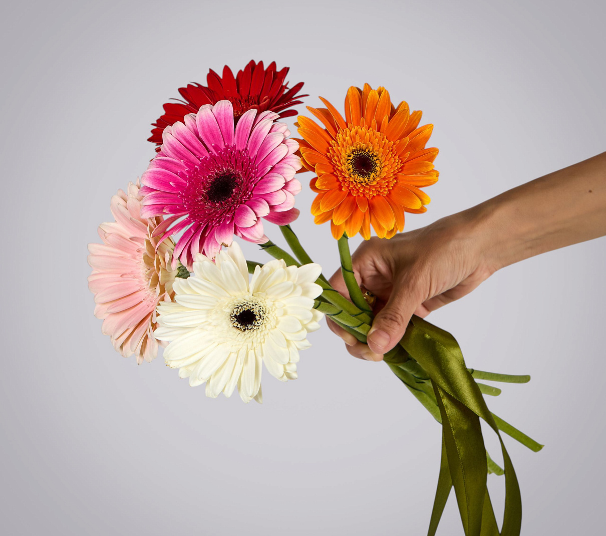 монобукет из 5 гербер микс 