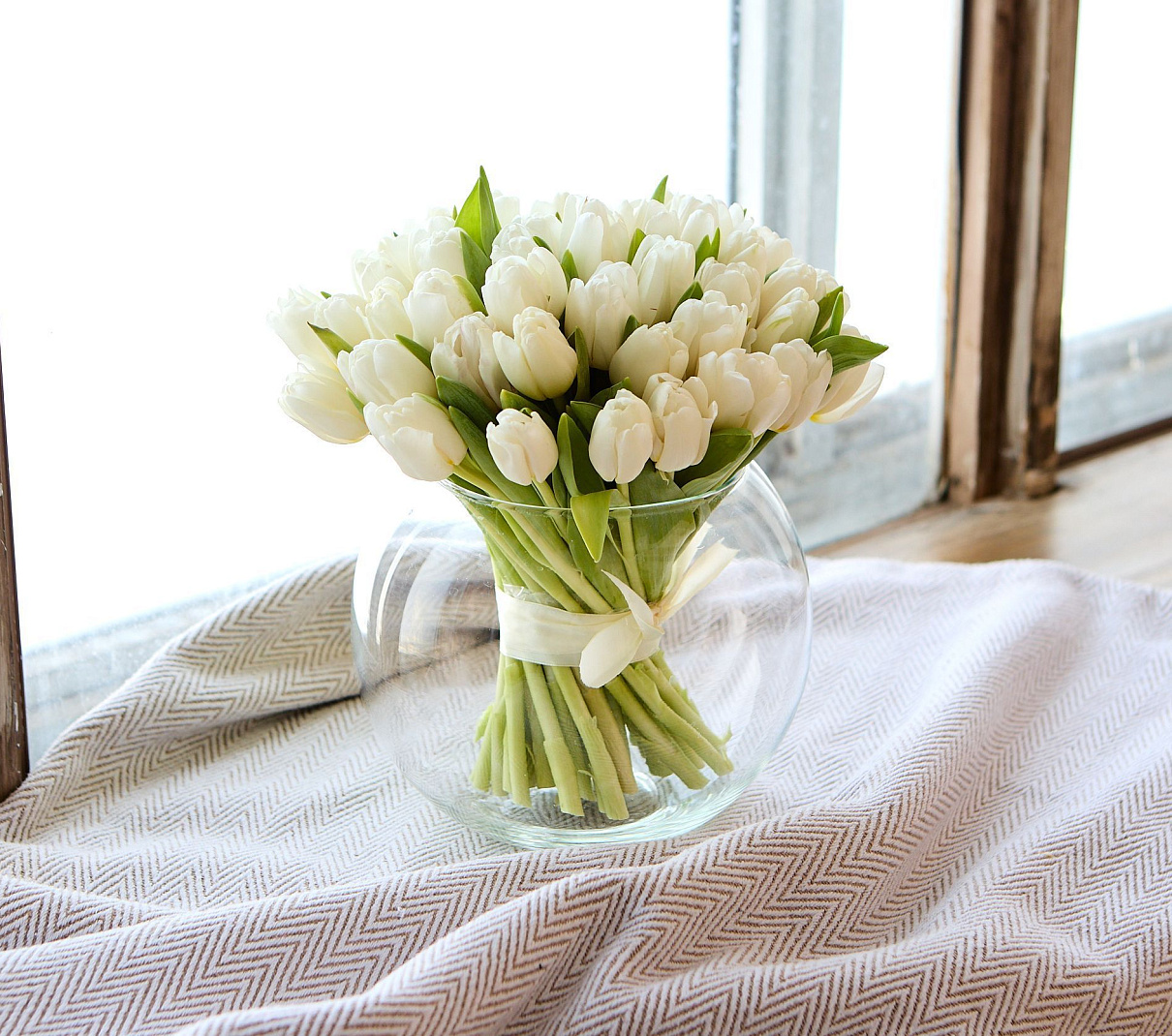 монобукет 51 белый тюльпан под ленту 
